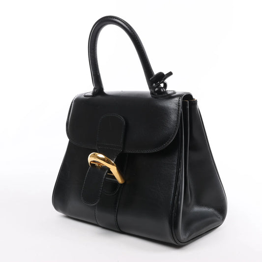 Delvaux Brillant PM Leather Handbag in Black