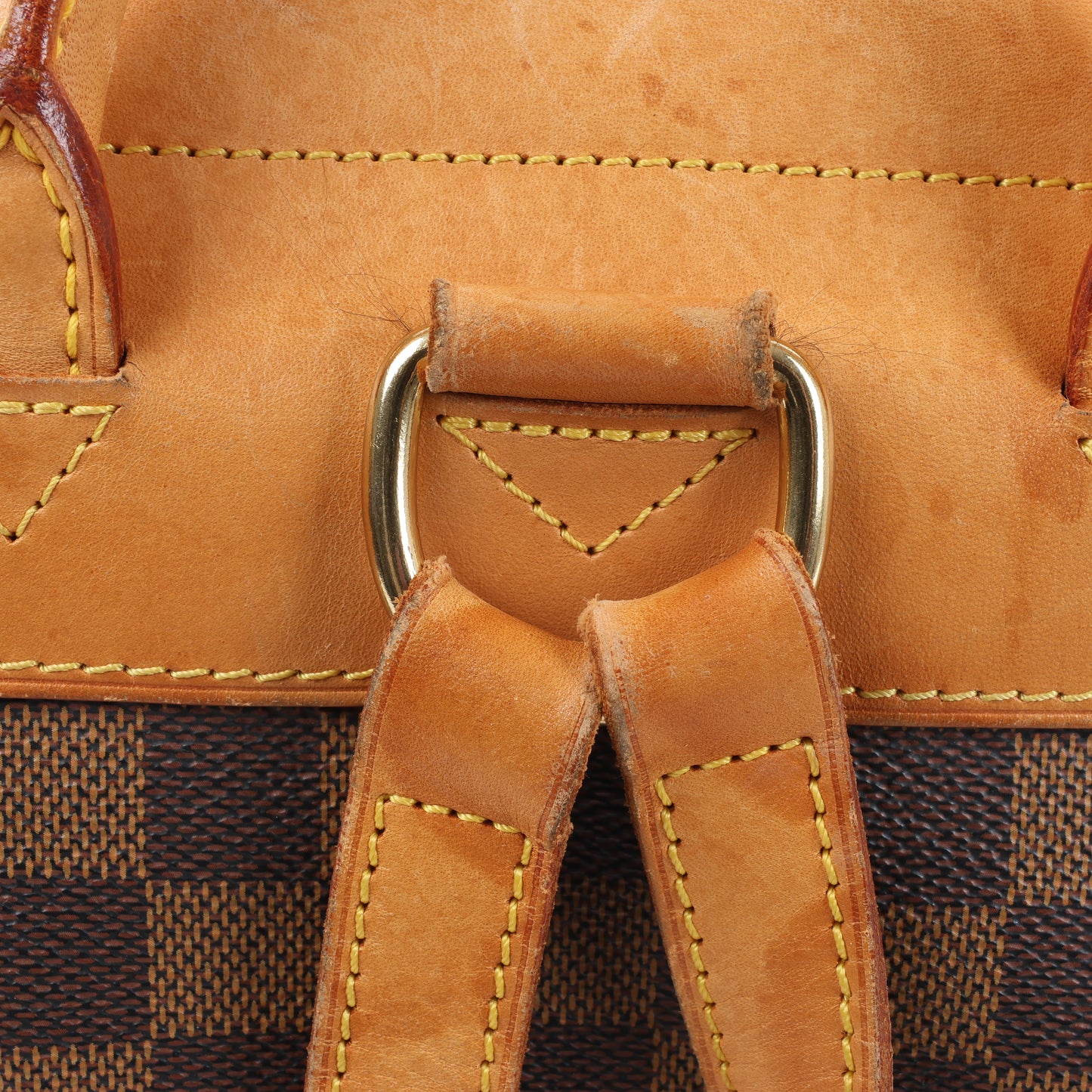 Louis Vuitton Damier Ebene Arlequin Backpack N99038