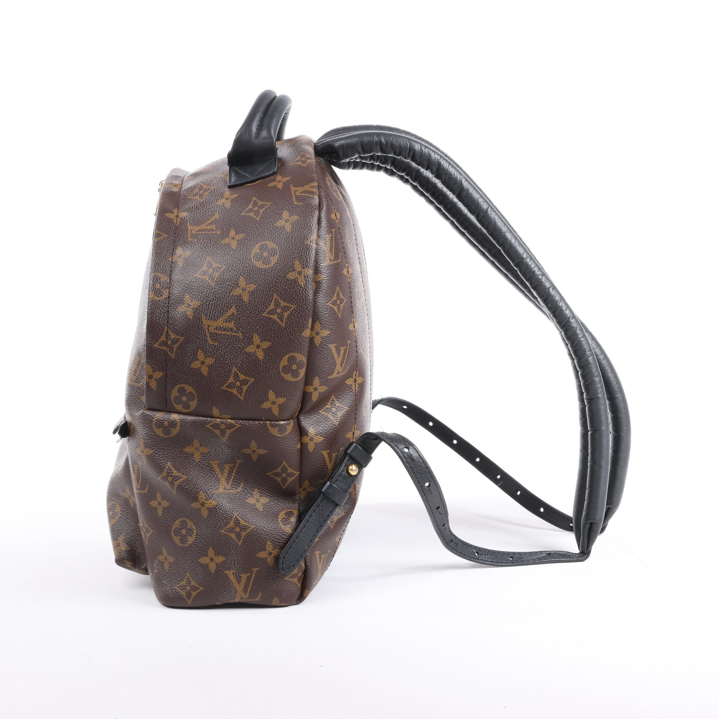 Louis Vuitton Monogram Palm Springs MM Backpack M44874