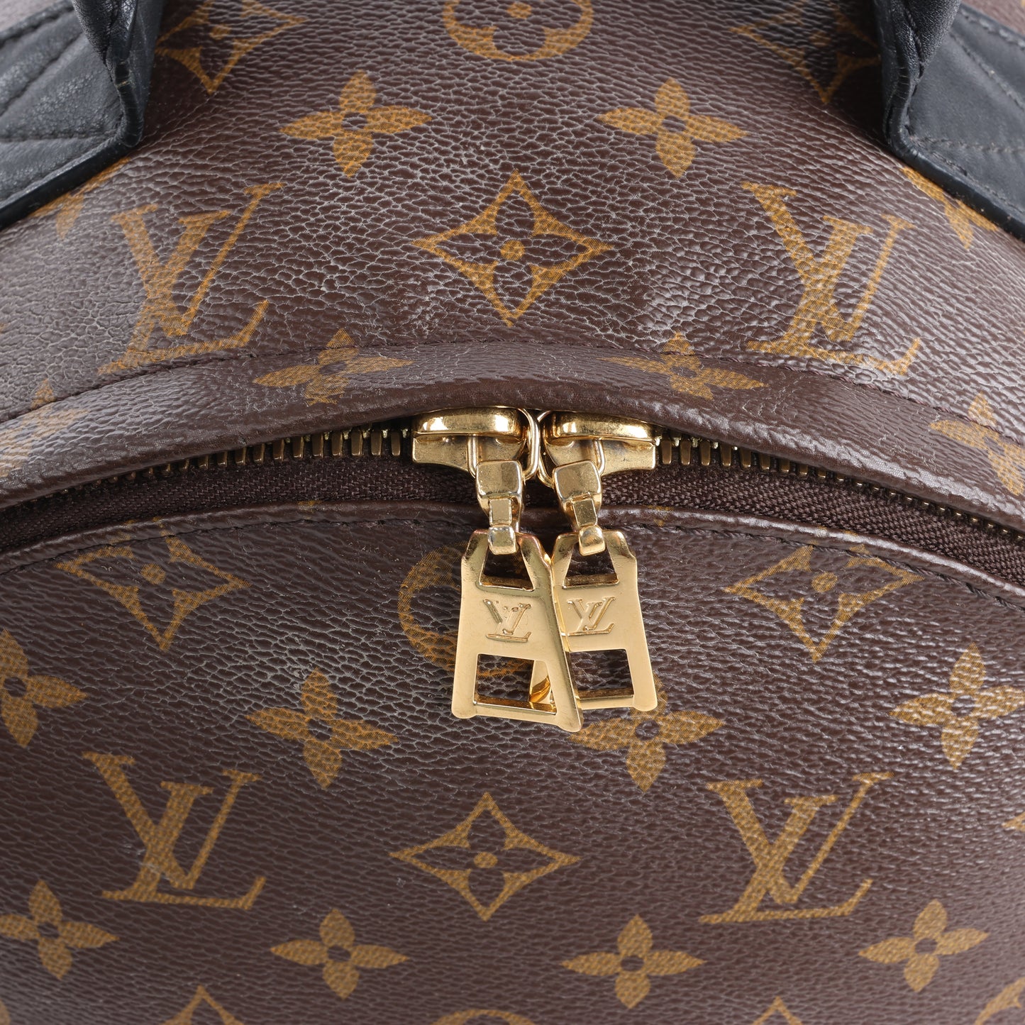 Louis Vuitton Monogram Palm Springs MM Backpack M44874