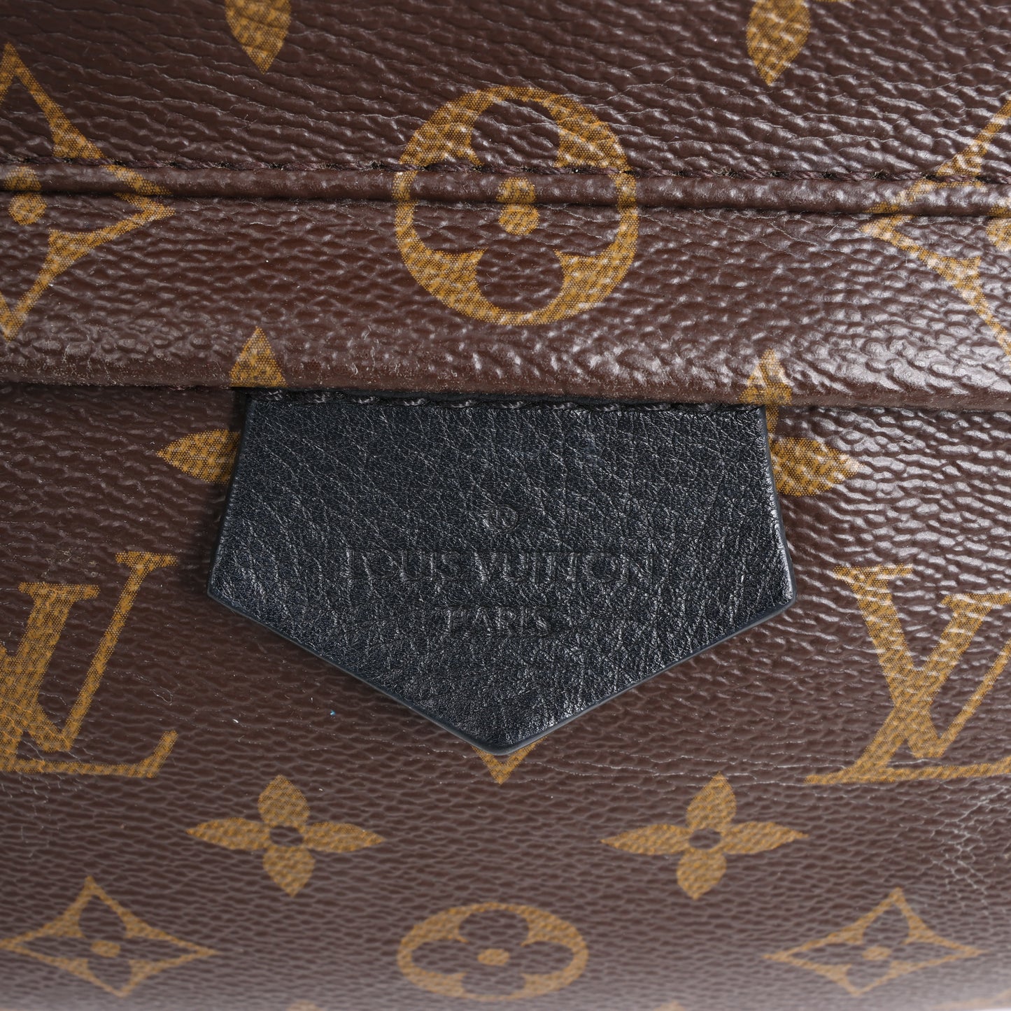 Louis Vuitton Monogram Palm Springs MM Backpack M44874