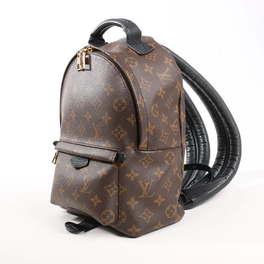 Louis Vuitton Palm Springs PM Monogram Backpack in Brown M41560