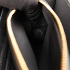 BVLGARI Serpenti Leather Chain Crossbody Bag in Gray