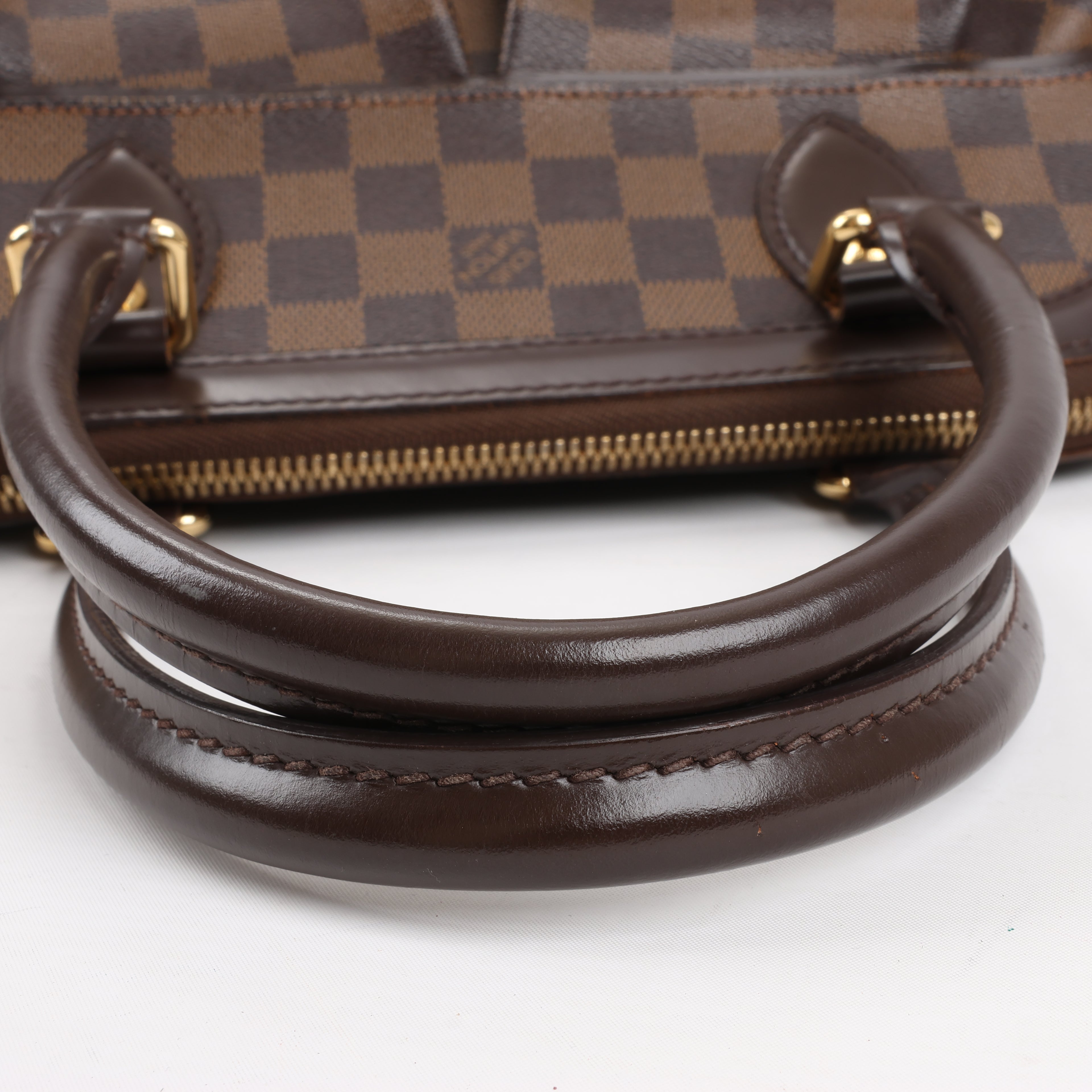 Louis Vuitton Damier Ebene Trevi PM Handbag N51997