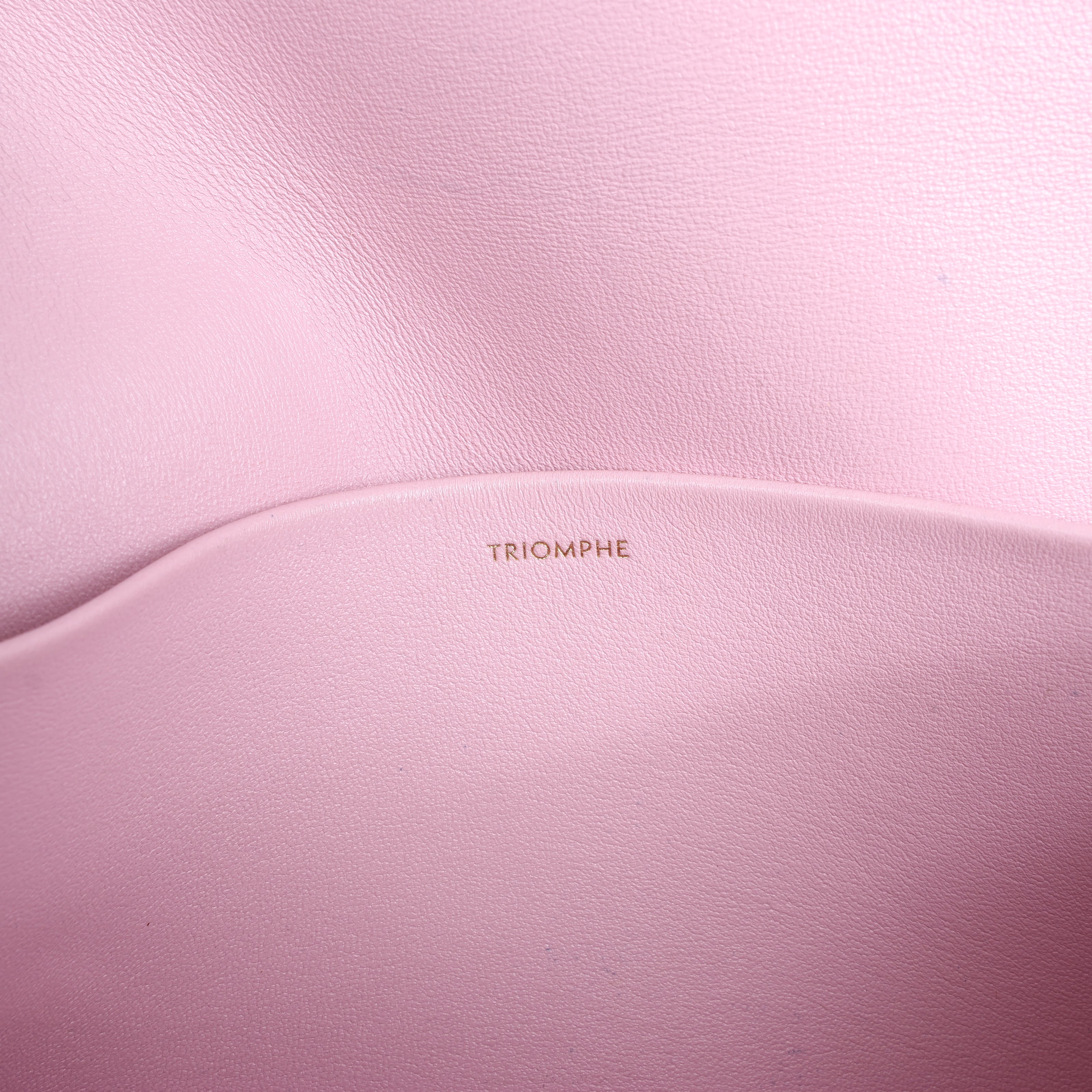 Celine Triomphe Smooth Leather Small Shoulder Bag in Pink