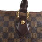Louis Vuitton Damier  Saleya GM Handbag