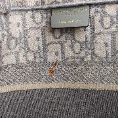 Dior Oblique Book Tote Canvas Tote Handbag in Gray / with scarf