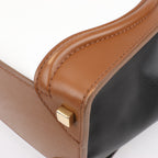 CELINE Luggage Micro Leather Handbag in Tri-color Brown