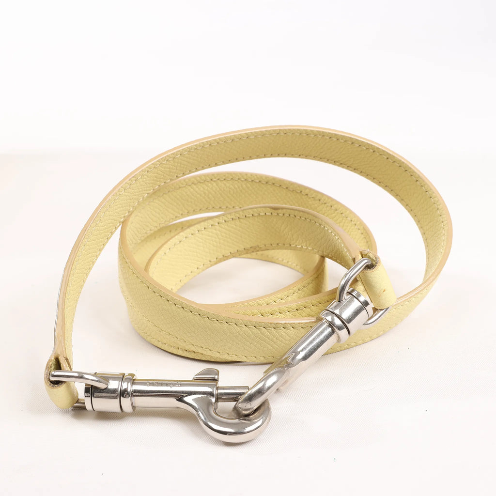 CELINE Belt Bag Grained Leather Micro 2Way Handbag in Yellow