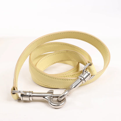 CELINE Belt Bag Grained Leather Micro 2Way Handbag in Yellow