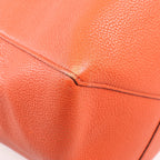 Celine Cabas Phantom Small Leather Shoulder Bag in Orange