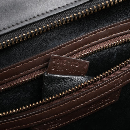 Celine Luggage Mini Leather Handbag in Multicolor