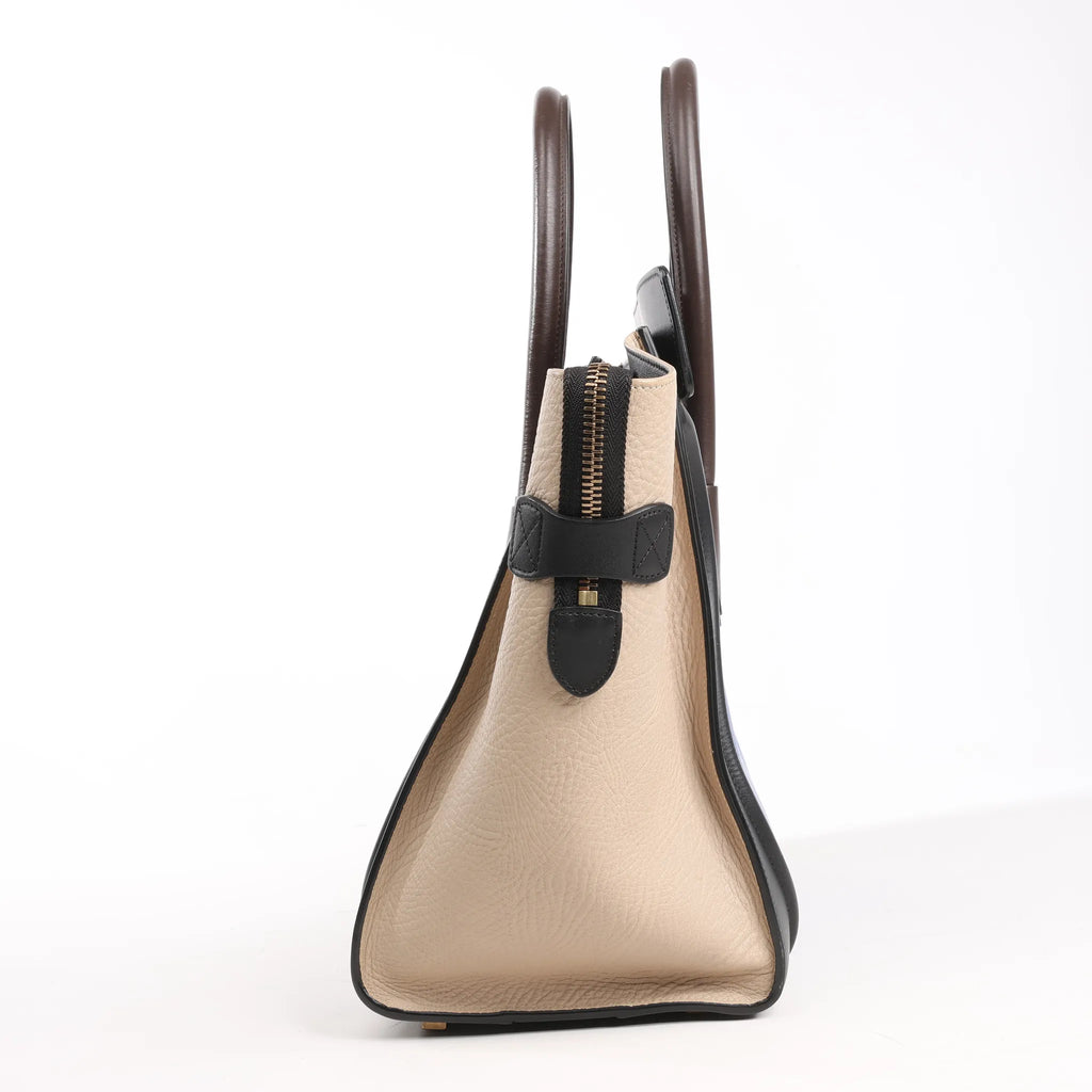 Celine Luggage Mini Leather Handbag in Multicolor