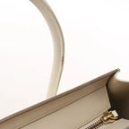 Celine Luggage Micro Leather Handbag in Beige x Gray