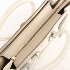 Celine Luggage Micro Leather Handbag in Beige x Gray