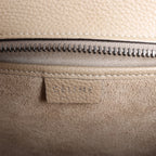 Celine Luggage Nano Leather 2Way Handbag in Brown