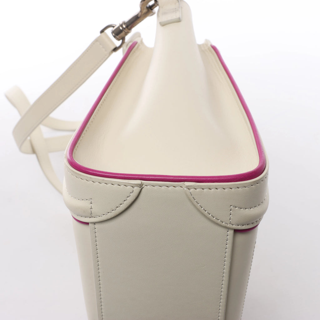 Celine Luggage Nano Leather 2Way Handbag in Beige x Purple