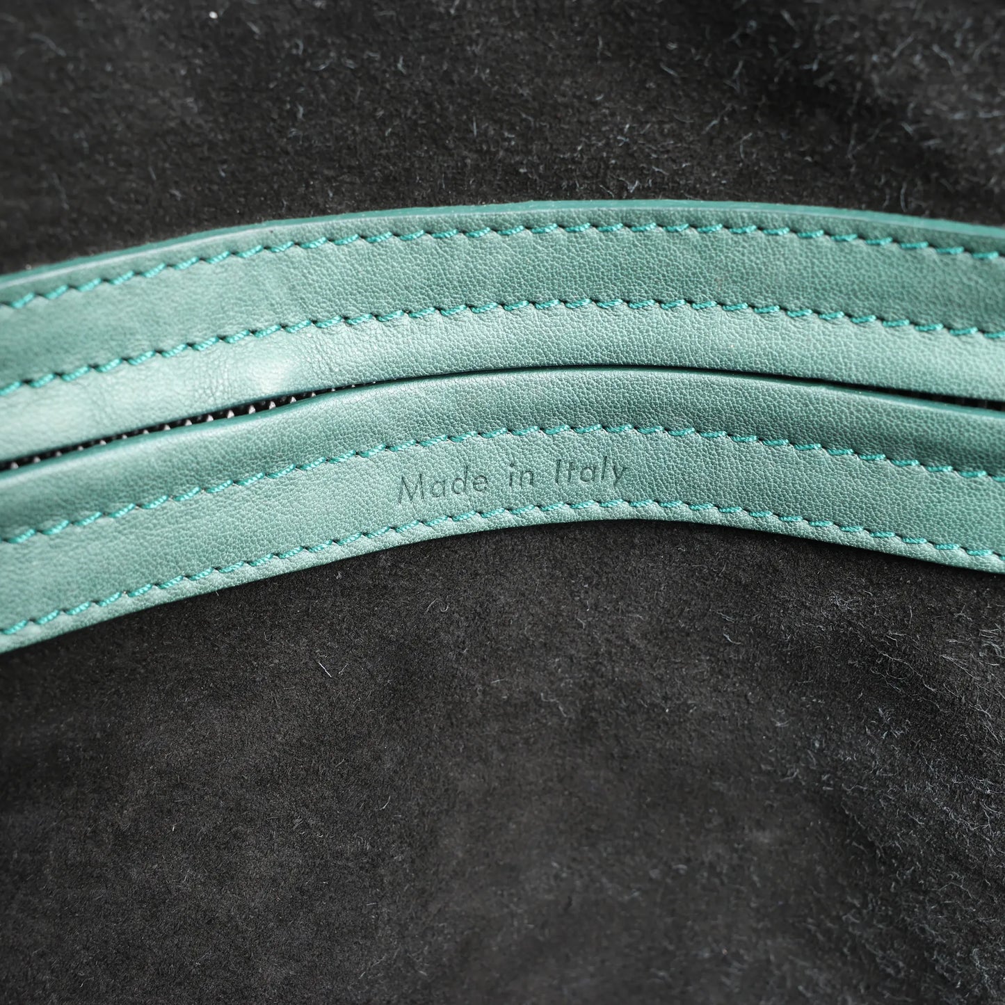 CELINE Luggage Phantom Small Leather Handbag in Green