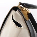 CELINE Trapeze Leather x Suede 2Way Handbag in Brown, Black, White