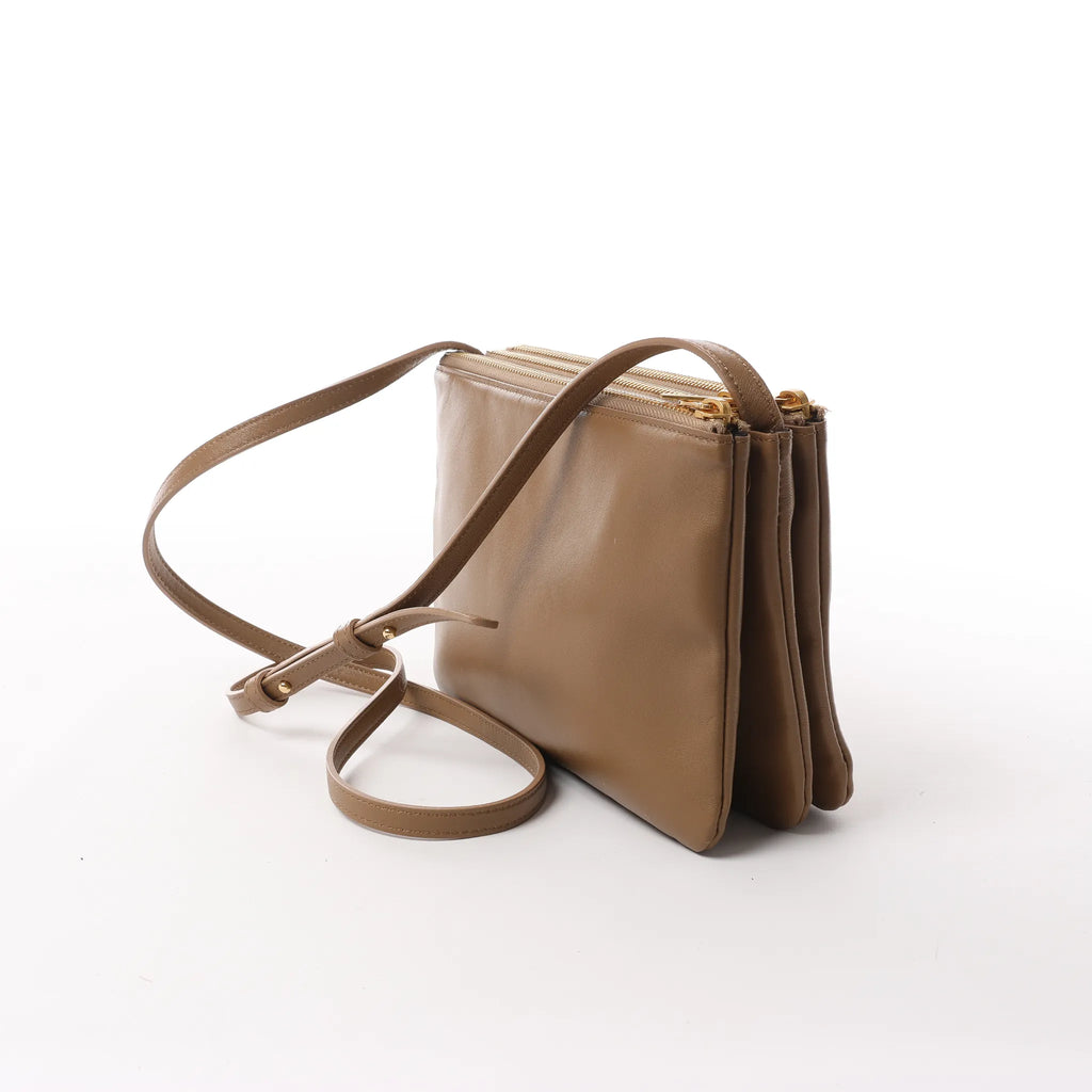 Celine Trio Small Leather Crossbody bag in Brown
