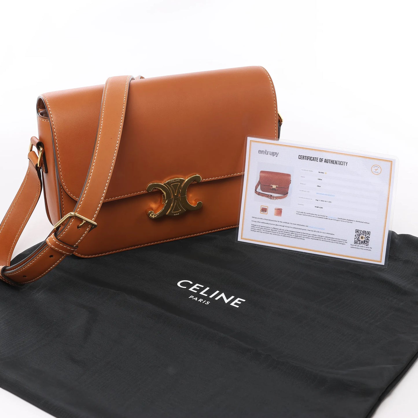 Celine Triomphe Classic Leather Shoulder bag in Brown