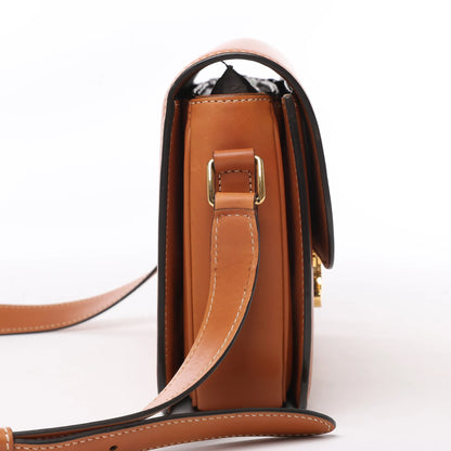Celine Triomphe Classic Leather Shoulder bag in Brown
