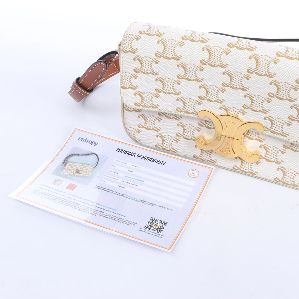Celine Triomphe Claude PVC & Leather Shoulder bag in Beige
