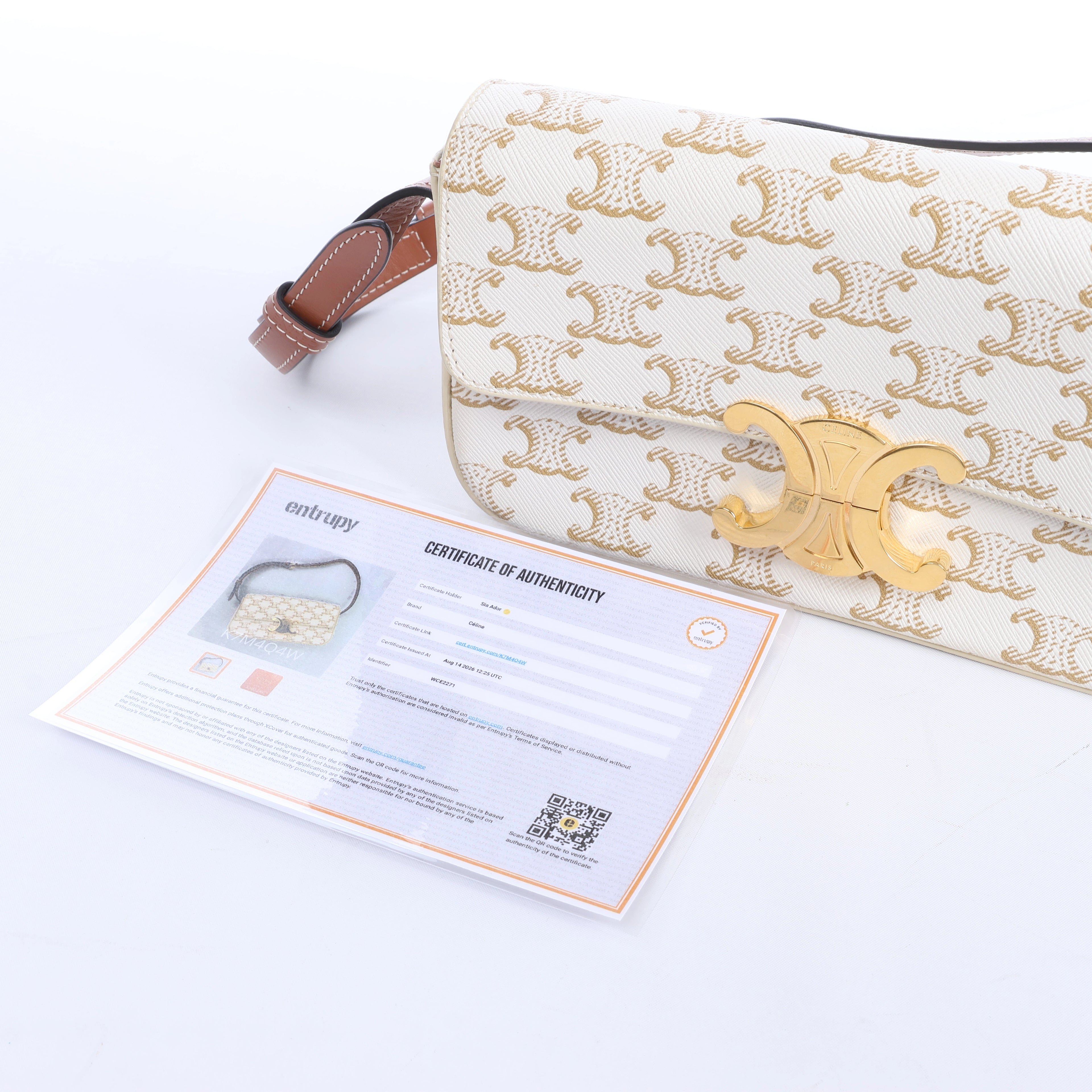 Celine Triomphe Claude PVC & Leather Shoulder bag in Beige