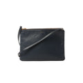 Black Celine Trio Large leather crossbody bag with gold-tone top zipper, slim strap, and small gold Celine Paris logo on front, on white background.