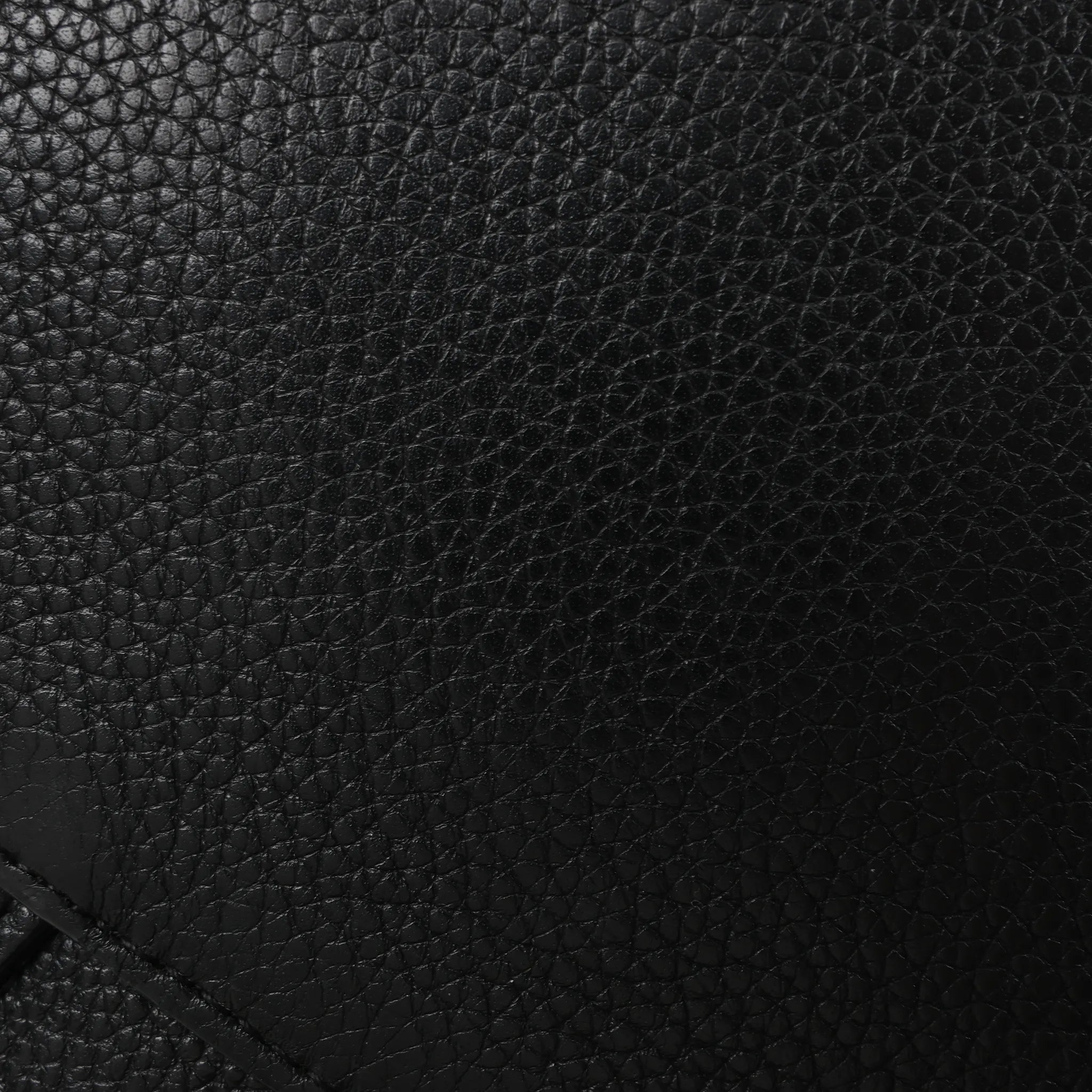 Celine Cabas Phantom Medium Leather Shoulder Bag in Black