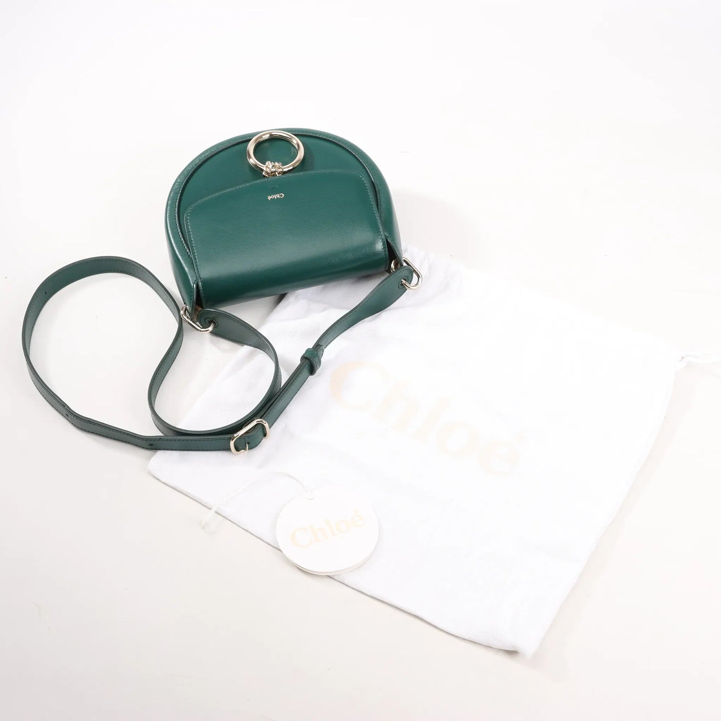 Chloe Arlène Leather Shoulder bag in Green