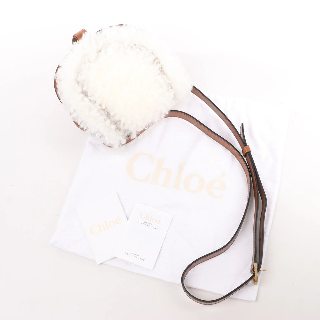Chloe Marcie Mini Leather x Boa Crossbody Bag in Brown