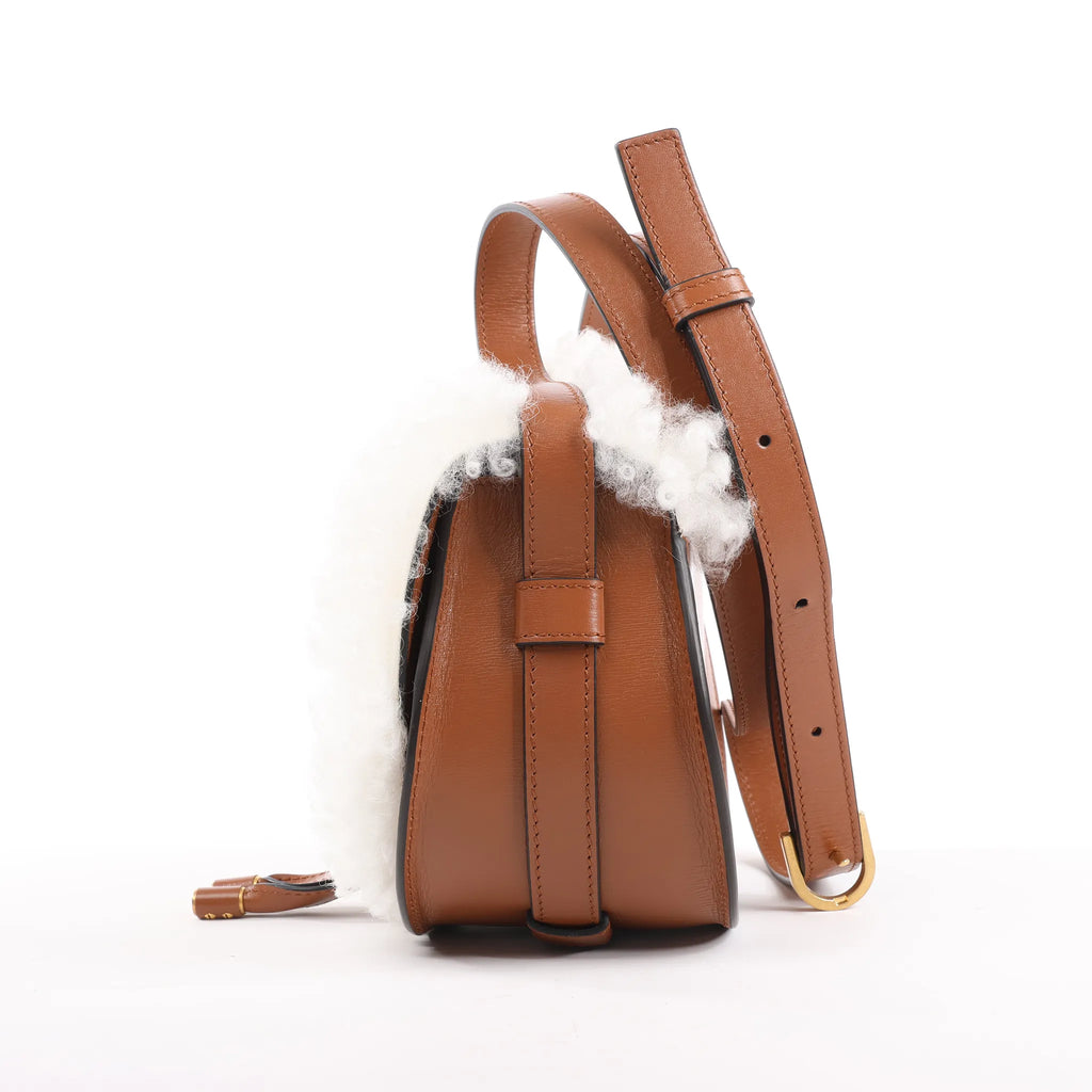 Chloe Marcie Mini Leather x Boa Crossbody Bag in Brown