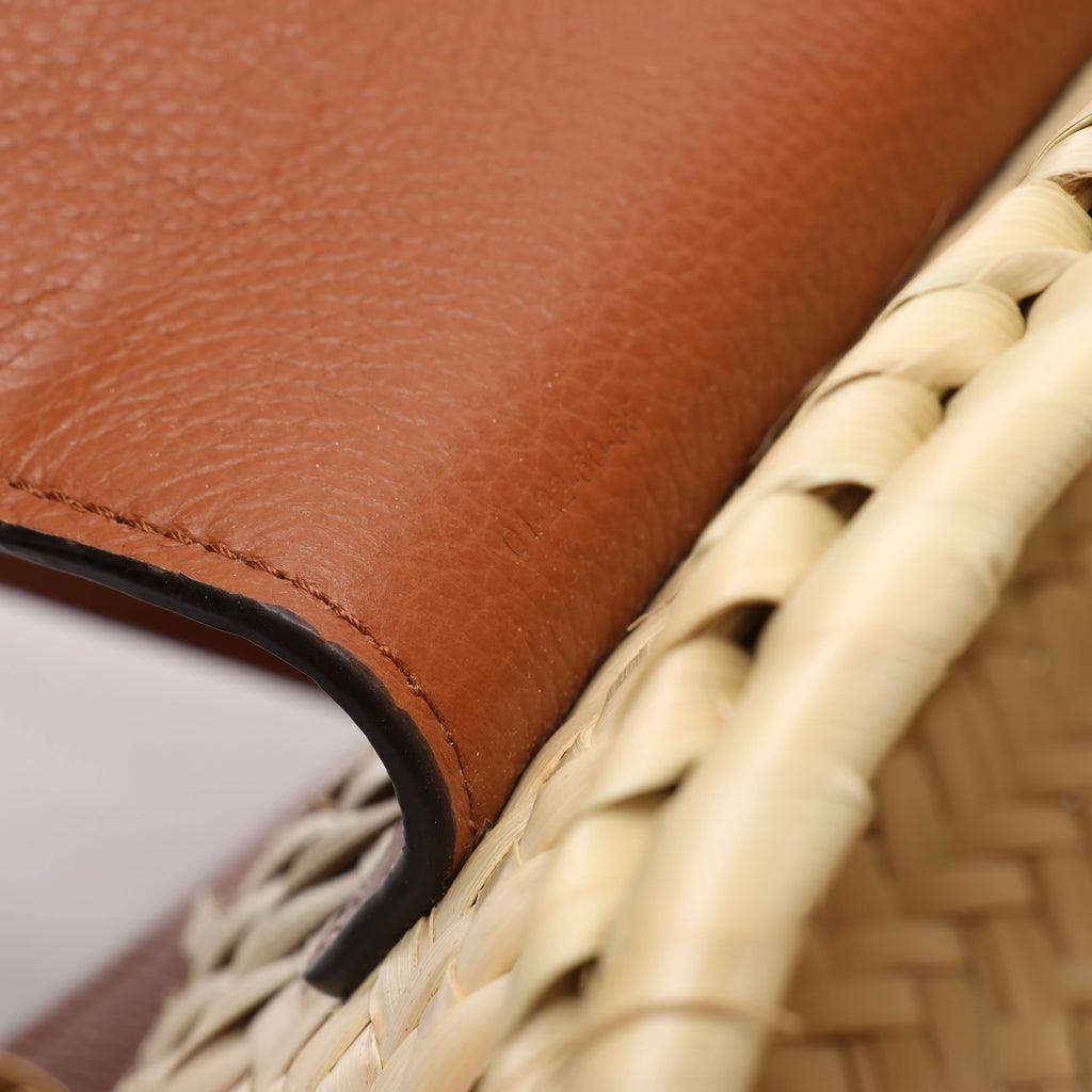 Chloe Marcie Small Raffia x Leather Crossbody Bag in Beige × Brown