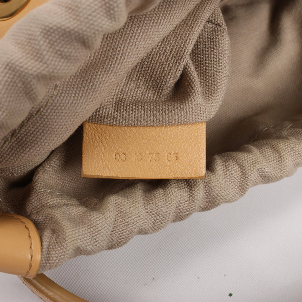 Chloe Roy Leather x Canvas 2Way Shoulder Bag in Beige