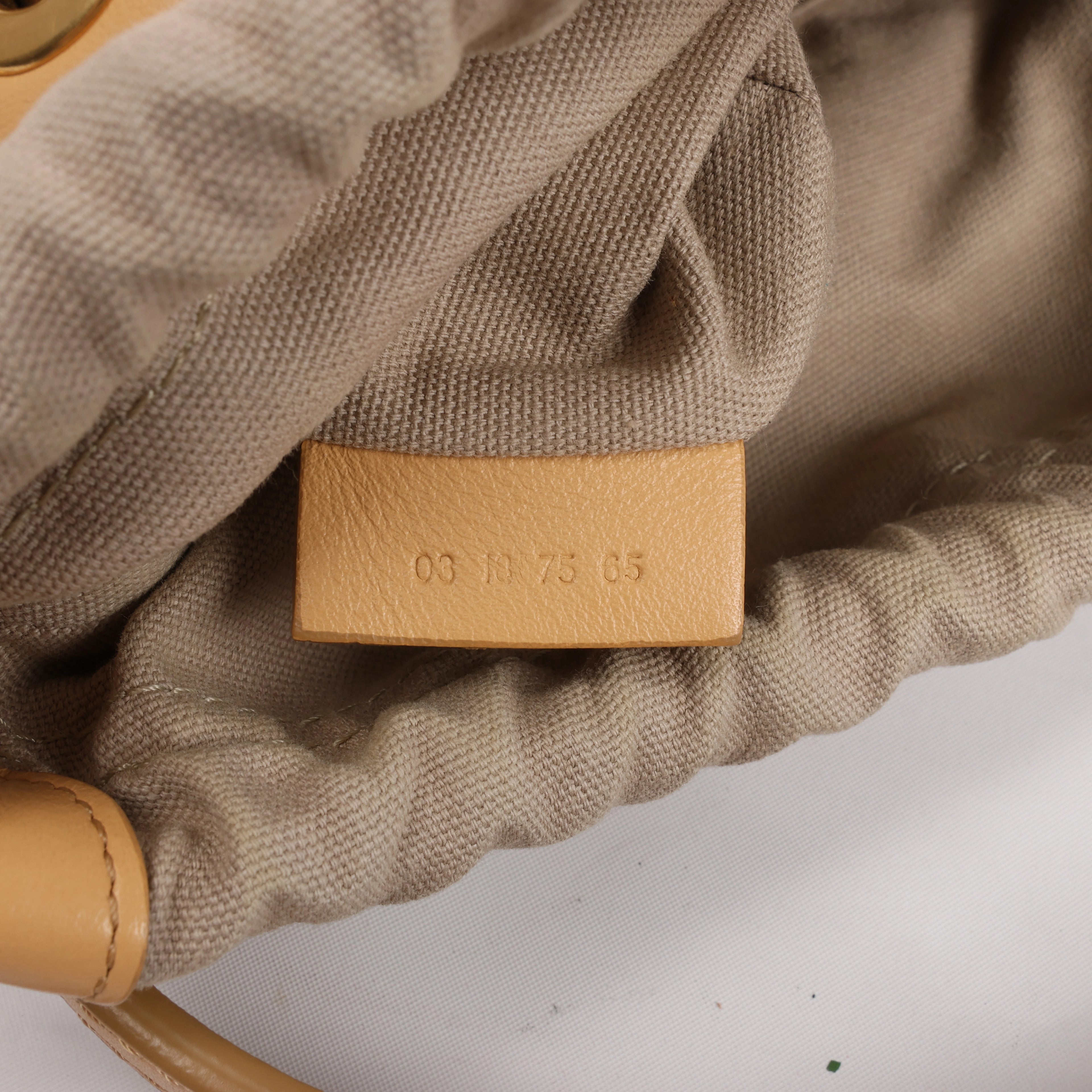 Chloe Roy Leather x Canvas 2Way Shoulder Bag in Beige