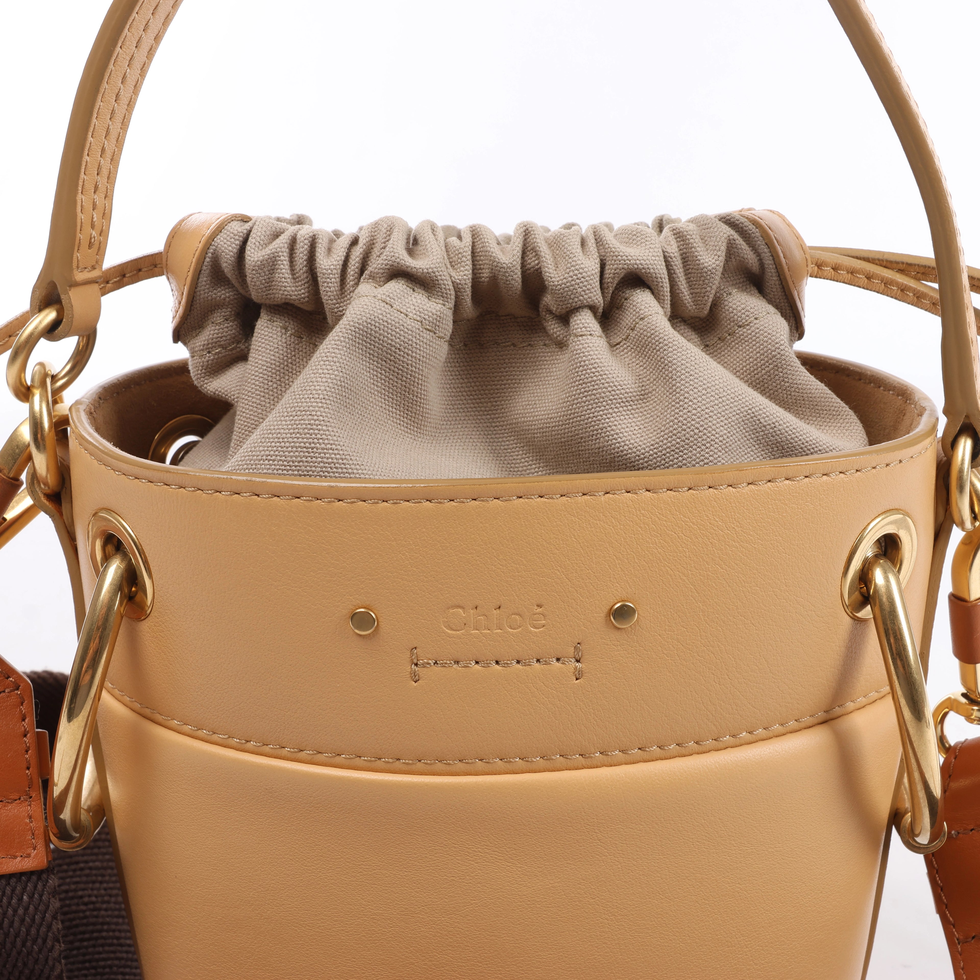 Chloe Roy Leather x Canvas 2Way Shoulder Bag in Beige