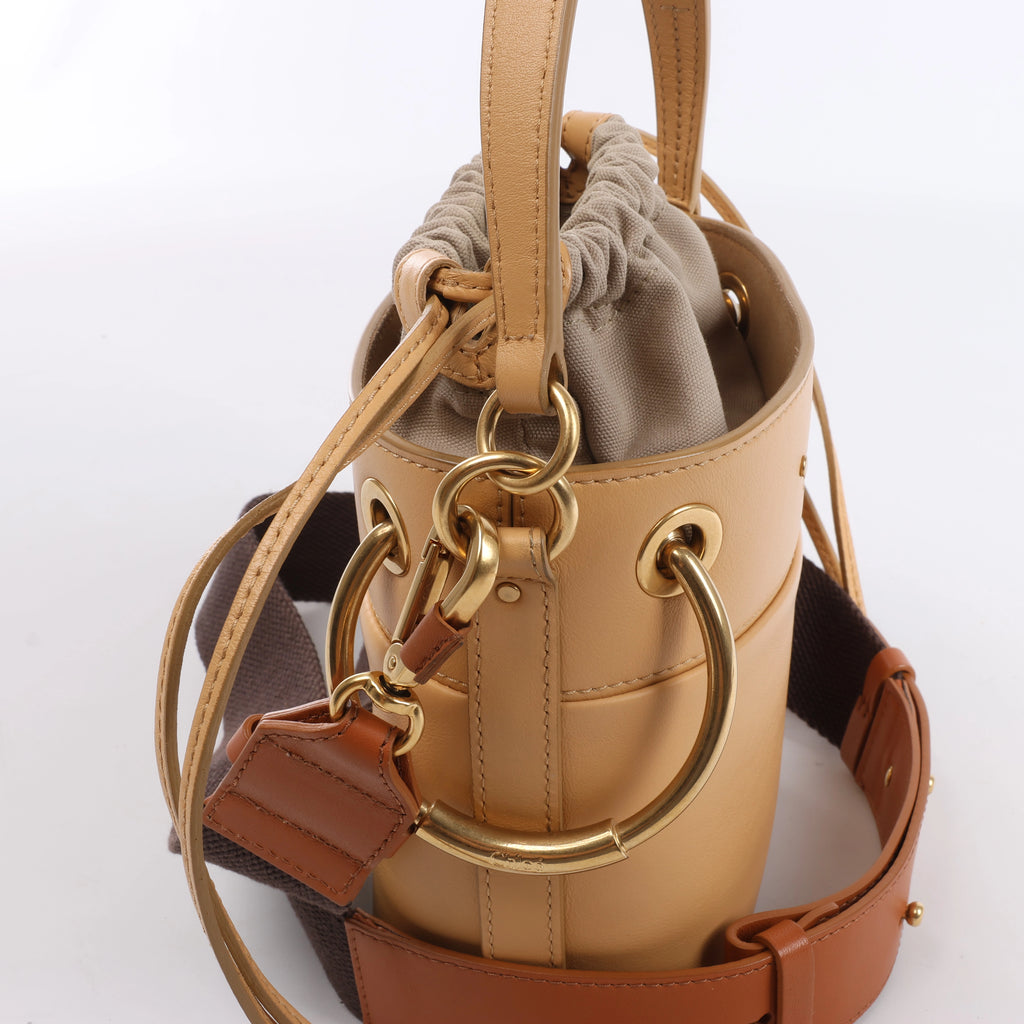Chloe Roy Leather x Canvas 2Way Shoulder Bag in Beige