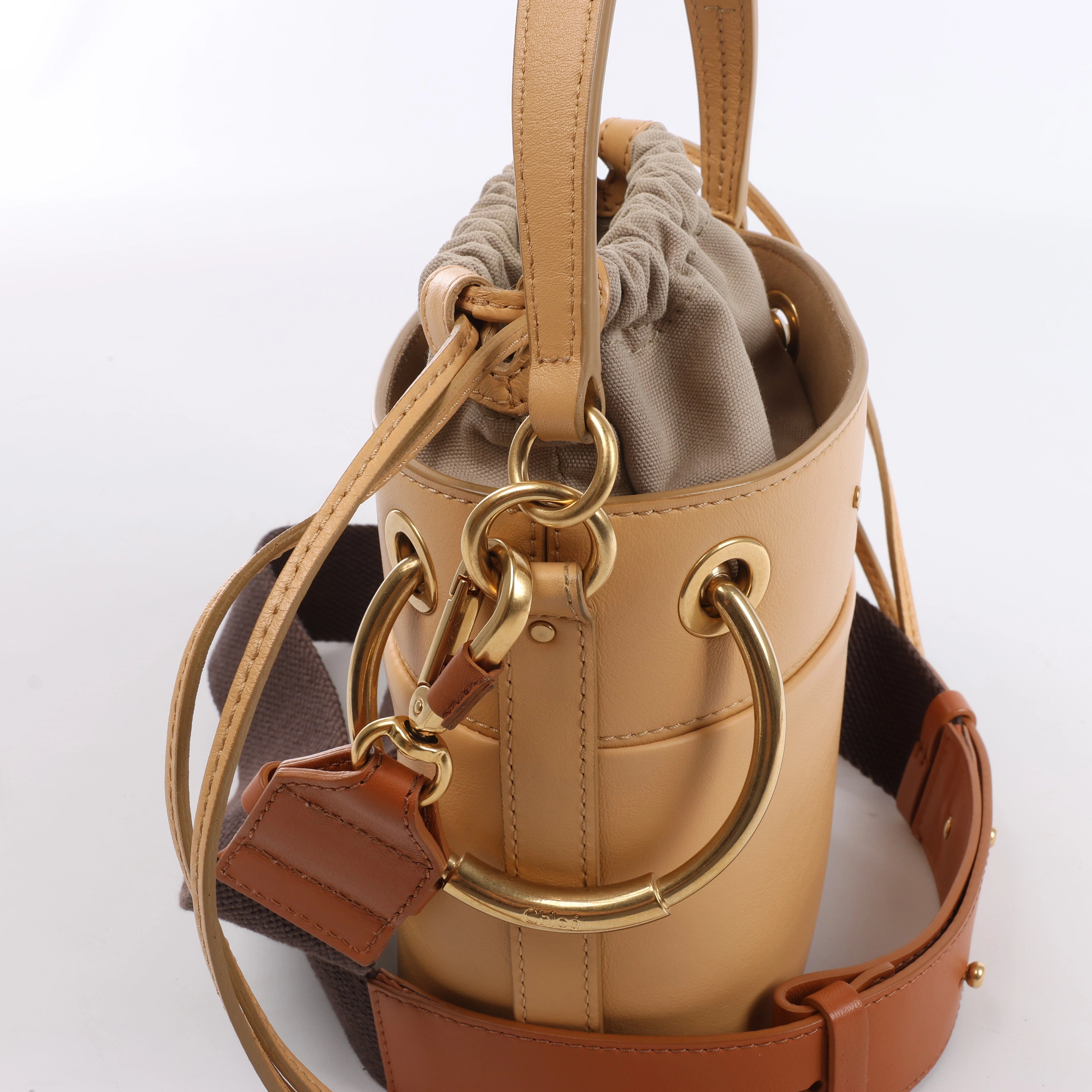 Chloe Roy Leather x Canvas 2Way Shoulder Bag in Beige
