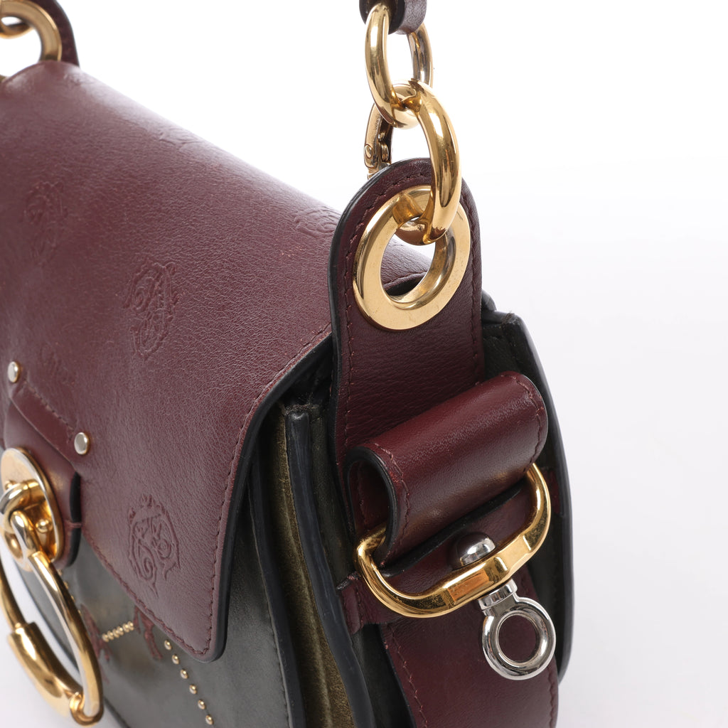 Chloe Tess Leather & Suede Shoulder bag in Green x Bordeaux