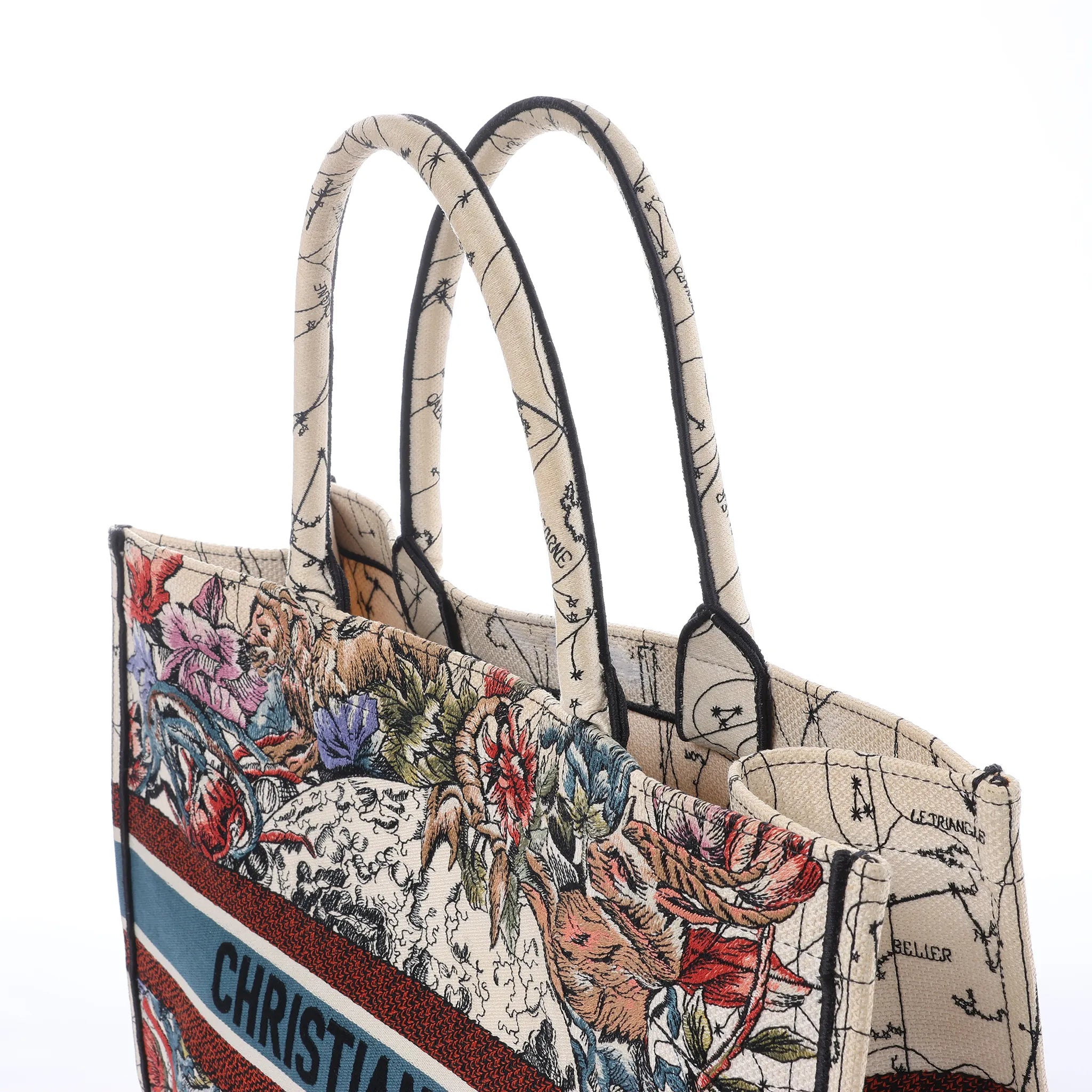 Dior Book Tote Large Zodiac Canvas Handbag in Multicolor