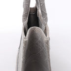 Christian Dior Book Tote Medium Cannage Canvas Shoulder Bag in Gray