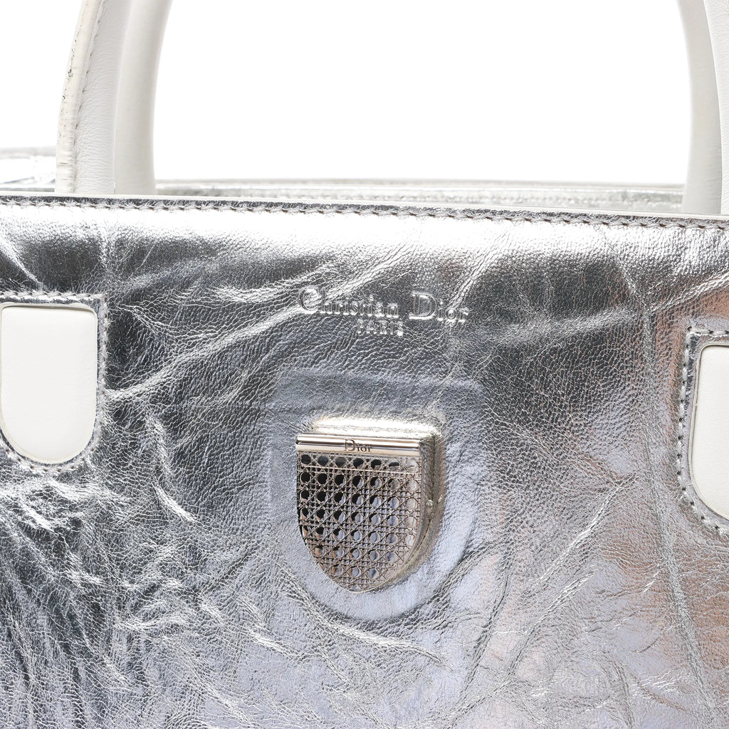 Dior Diorever Medium Leather 2Way Handbag in Silver