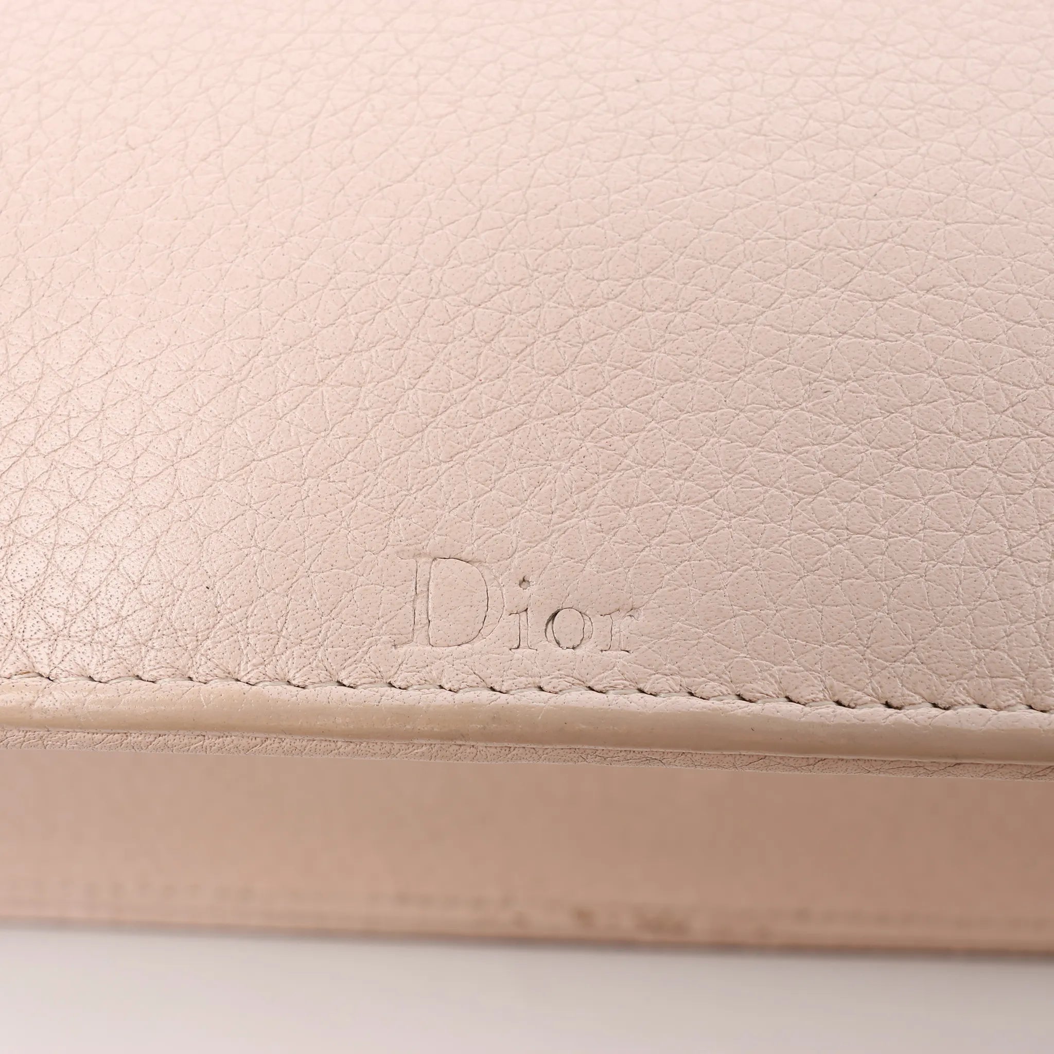 Dior Diorama Leather Chain Shoulder Bag in Powder Beige