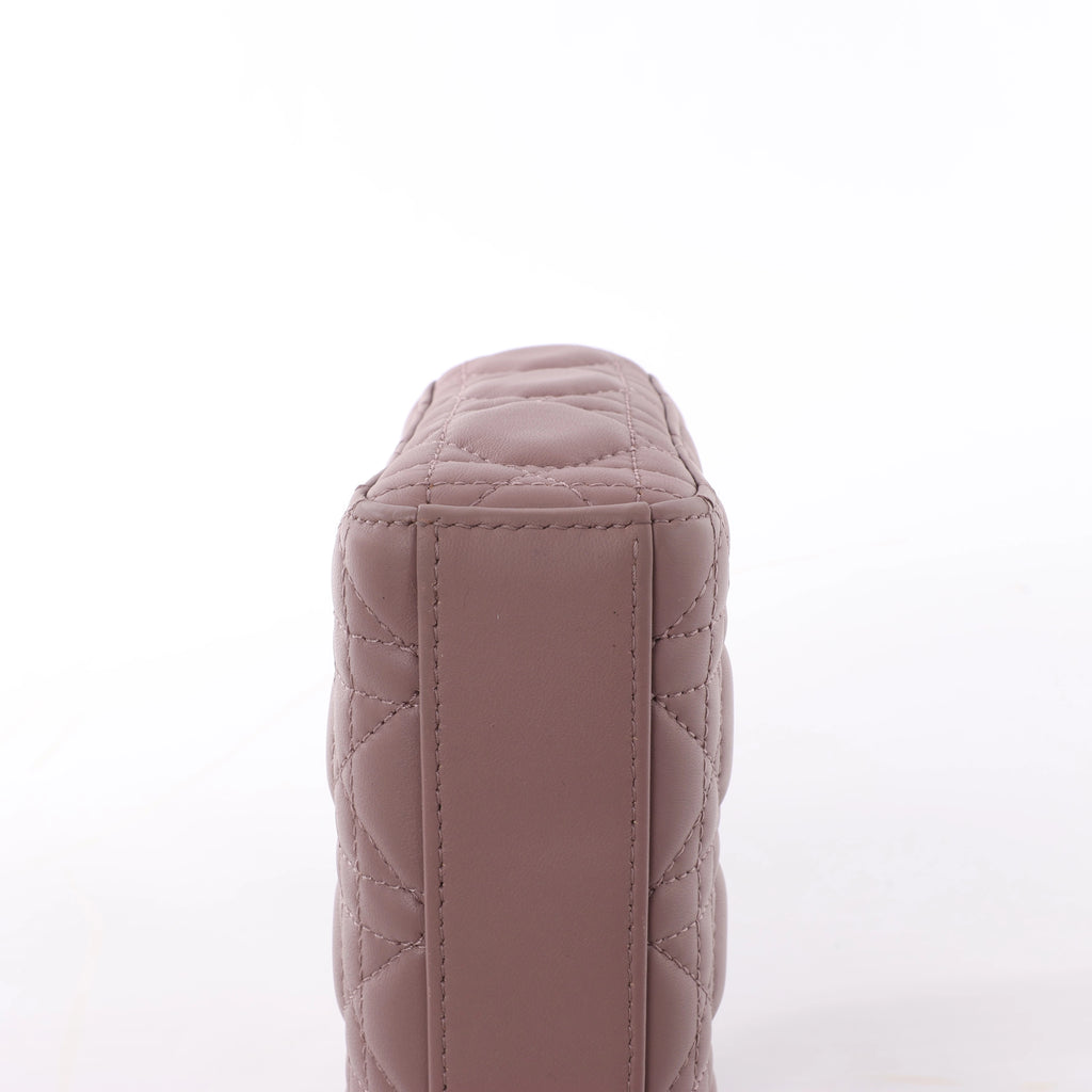 Dior Lady D-Joy Leather 2Way Handbag in Pink