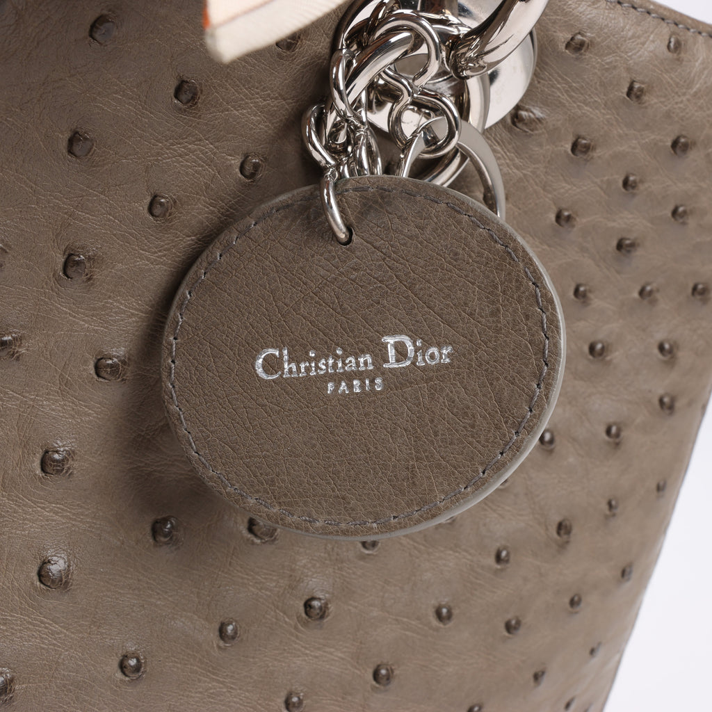 Dior Lady Dior Ostrich Large 2Way Handbag in Brown