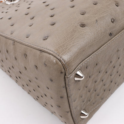 Dior Lady Dior Ostrich Large 2Way Handbag in Brown