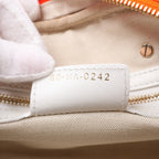 Dior Small Dior Vibe Zip Bowling Bag in Orange