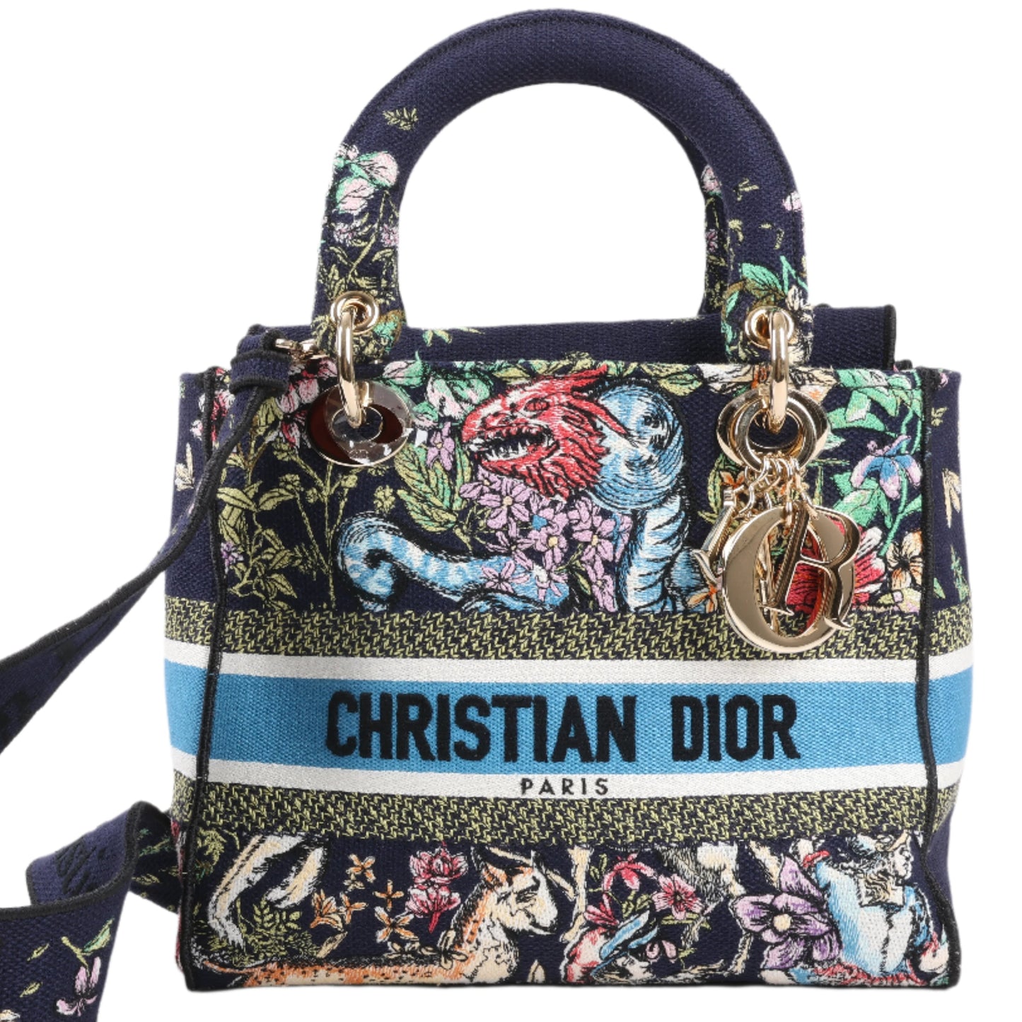 Christian Dior Lady D-Lite Canvas D-Constellation Embroidered Medium 2Way Handbag in Multicolor