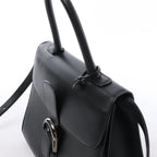 Delvaux Brillant MM Leather 2Way Handbag in Black